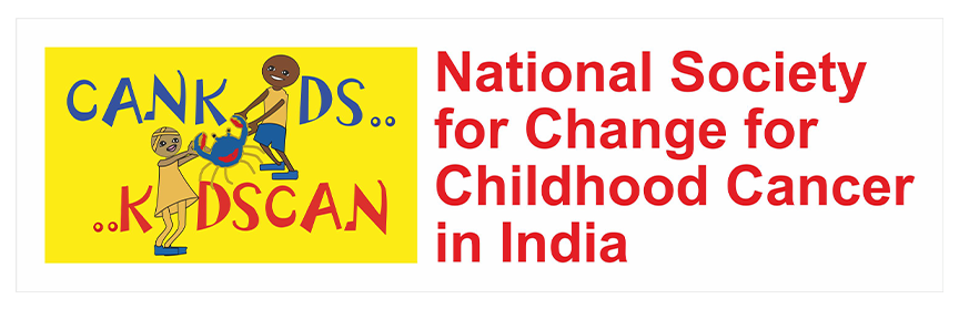 cso logo